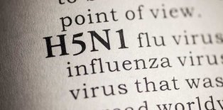 H5N1 text in book